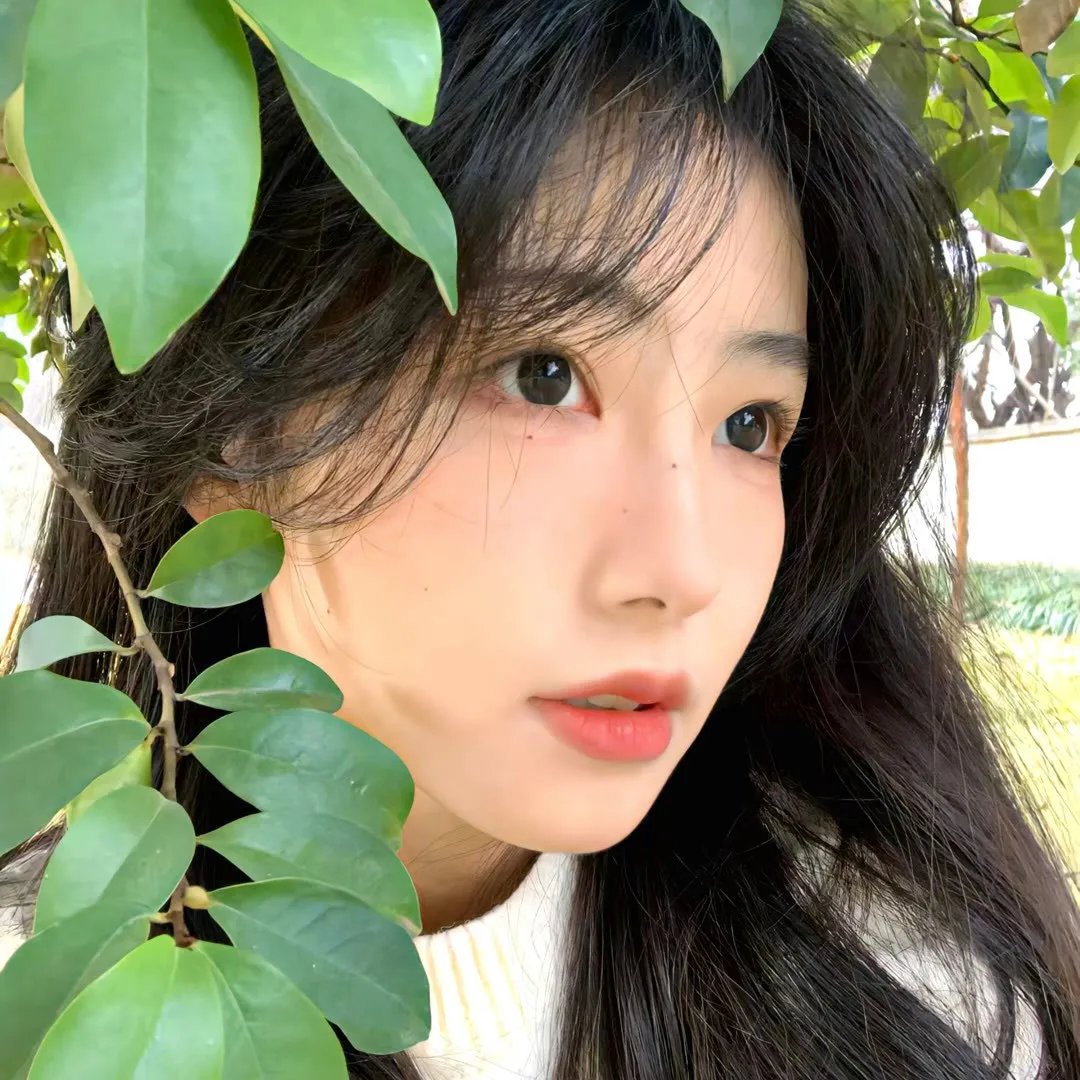 荒林艳骨
